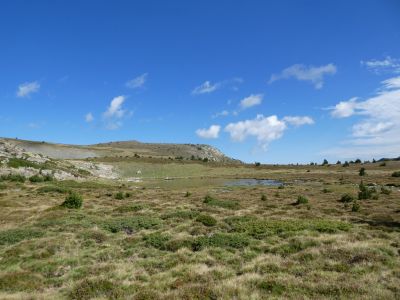 Vue premier étang 2