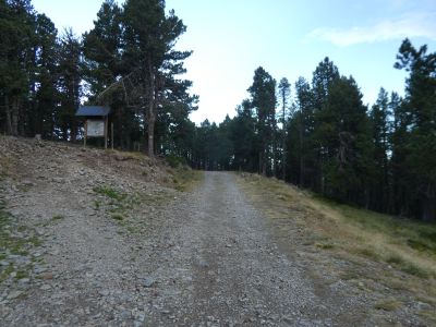 Croisement après Calmasella