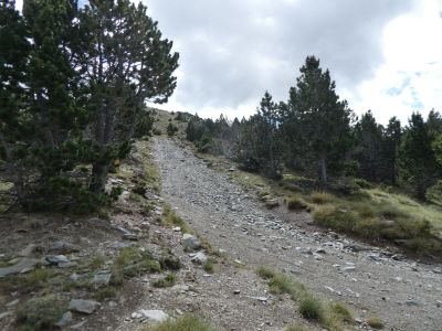 Croisement descente Muntanyeta 2