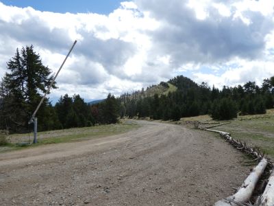 Croisement Collada 2