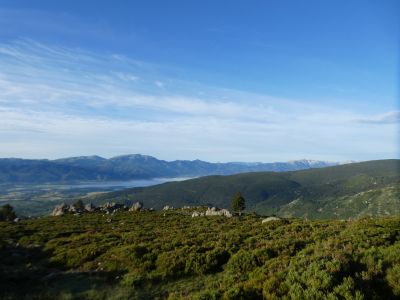Vue Tosa