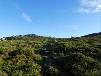 Vue montée Home Mort