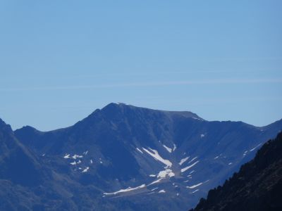 Vue Carnicera