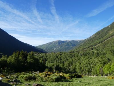 Vue Freda