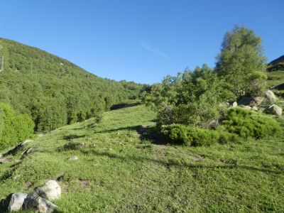 Croisement après Isard