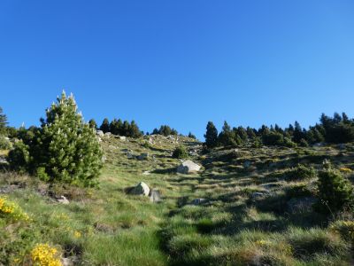Croisement GR107 Hospitalet