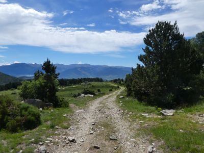 Croisement Castellar 2