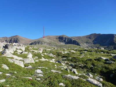 Ras Carlit