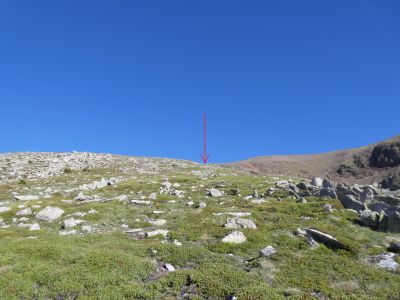 Vue montée Oriental