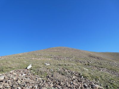 Vue montée Oriental 2