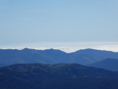 Vue Escotó
