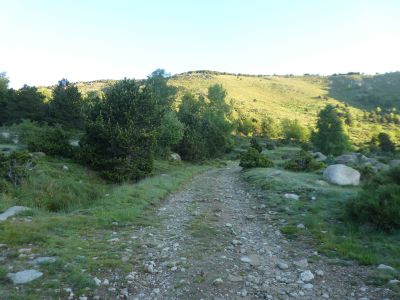 Croisement Castellar