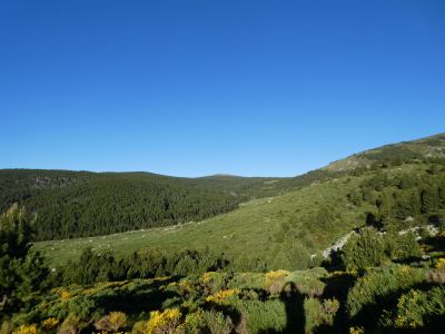 Vue Llops