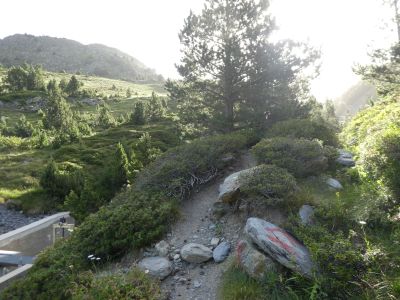 Croisement fin Bac Rossó