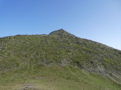 Vue montée Coma Or