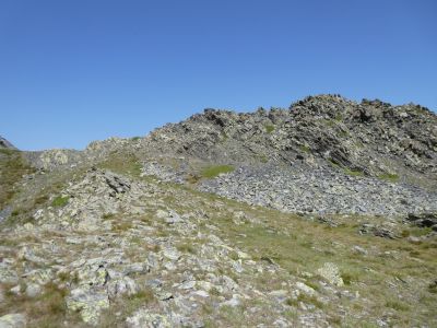 Croisement Serra Font Viva 2