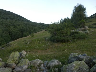 Croisement après Isard