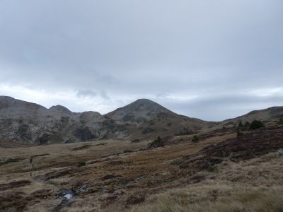 Vue sommet