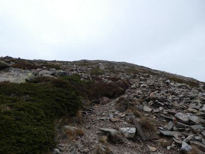 Vue montée sommet 2