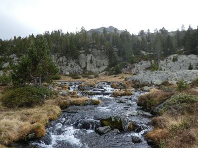 Vue Rec Forats