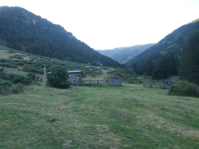 Refuge Planes