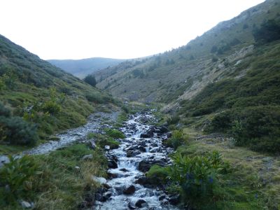 Vue Ribera Er