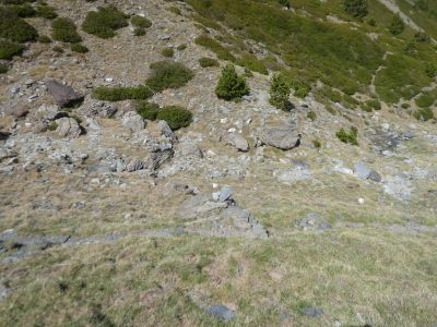 Croisement fin vallon Montel