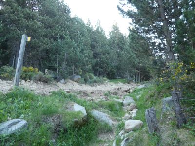 Croisement piste Estany