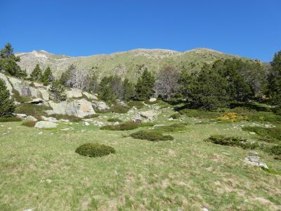 Zone dégagée Estany