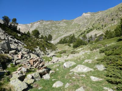 Zone dégagée Estany 2