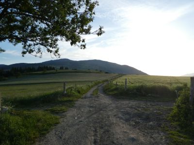 Croisement GR10 avant Planès