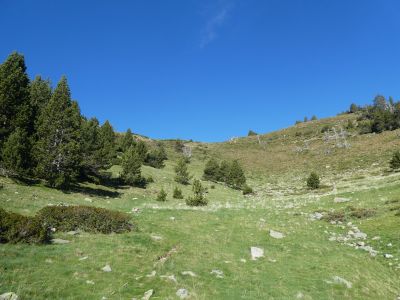 Vue montée Collada