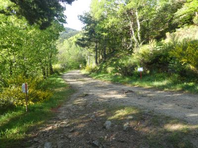 Croisement piste Mariailles