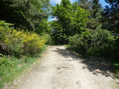 Croisement piste Mariailles 2