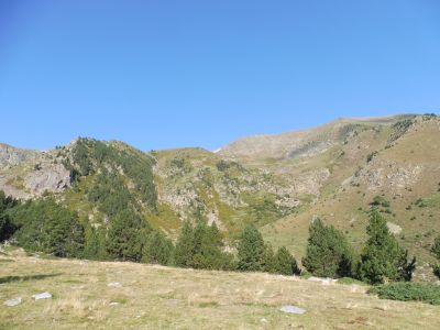 Vue Congesta Grossa