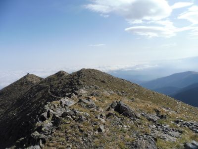 Descente