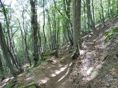 Vue sentier Patriques