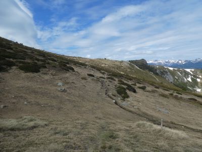 Croisement montée Madres 2