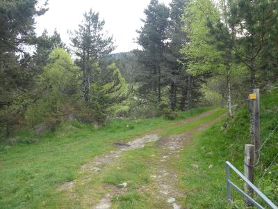 Croisement gué Mari