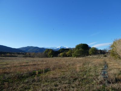 Vue Canigou