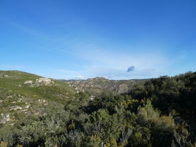 Vue Puig Pedrós