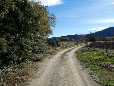 Croisement fin Rec Corbera