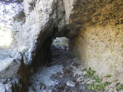 Vue sentier berges Têt 3