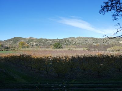 Vue Puig Pedrós 3