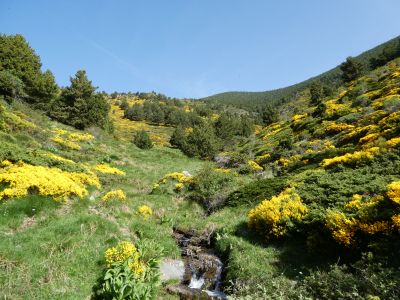 Vue chemin Ribera Llavanera 3