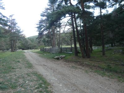 Croisement piste Mouline