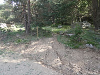 Molina