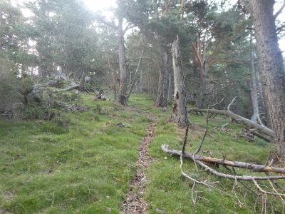 Vue montée sommet 2