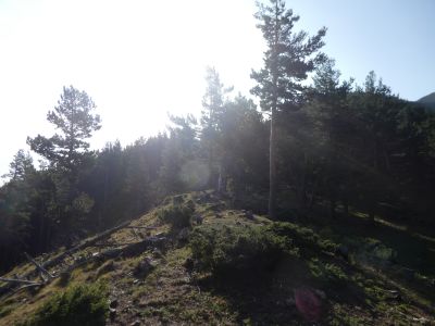 Vue montée sommet 2