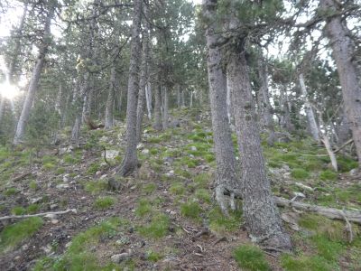 Vue montée sommet 4